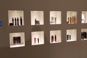 2019-februar-Italija PBF Workshop